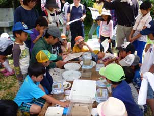 2015.5.24.�������݂̂����T����������2