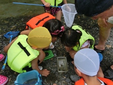 �������݂̂������q��8���E�ώ@