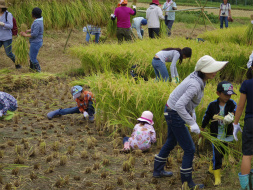 9���̂������݂̂������q���E���3