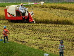 9���̂������݂̂������q�����4