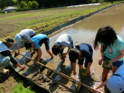 20160504�������݂̂����c�A��1