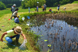 160522�������݂̂����{�n��1