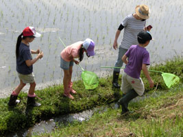 �������݂̂������q���E�c�A��2