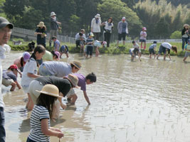 �������݂̂������q���E�c�A��3