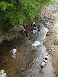 �������݂̂������q���E�c�A��6