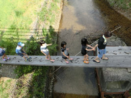 �������݂̂������q���E�c�A��5