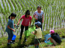 6���̎��q���E�ޏ�ώ@