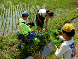 6���̎��q���E�ޏ�ώ@