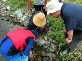 ���q��7����V��3