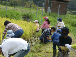 �������݂̂������q���E���20180916