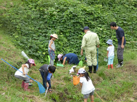 �������݂̂������q���E�ώ@��20180916