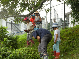 �������݂̂������q���E�I���Ƃ�20180916