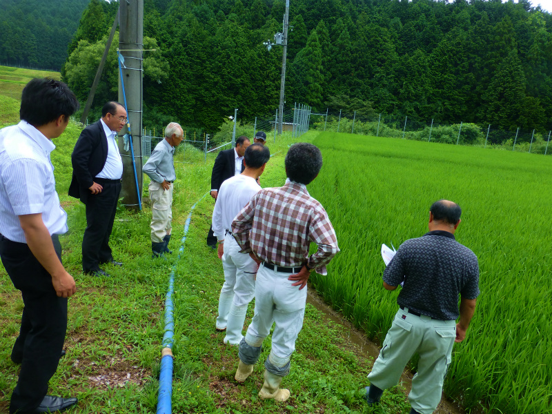 �������݂̂����t�@�[���E�H�_���E�׋���̂悤��1\2