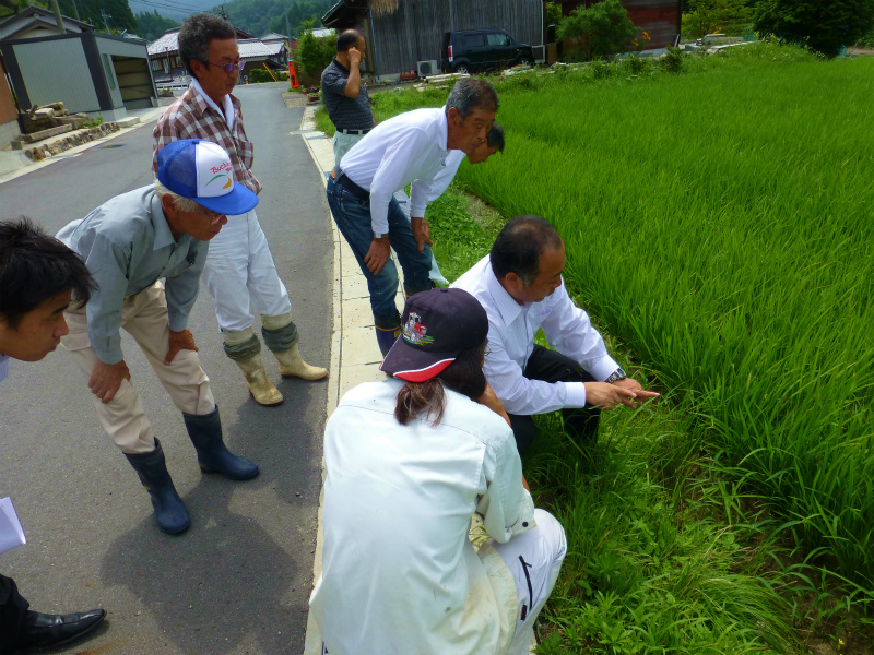 �������݂̂����t�@�[���E�H�_���E�׋���̂悤��1